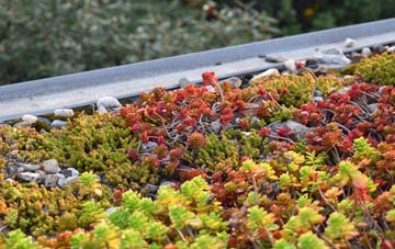 the cost of Letterewe green roof installation
